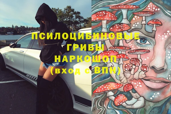 гашик Волосово