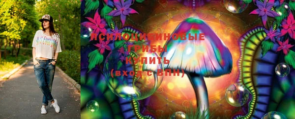 марки lsd Вяземский