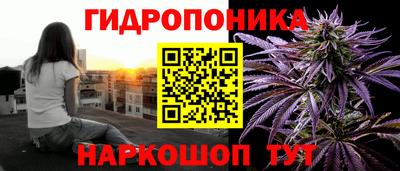 mdpv Лесосибирск