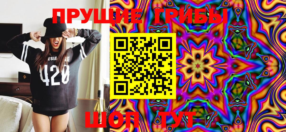Псилоцибиновые грибы Psilocybine cubensis  Вход с VPN  купить закладку  Гагарин 