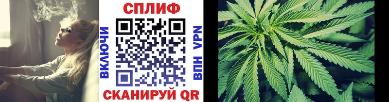 Каннабис семена  Гагарин 