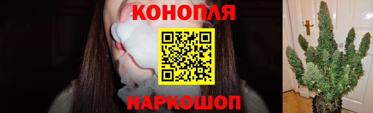 Каннабис OG Kush Гагарин